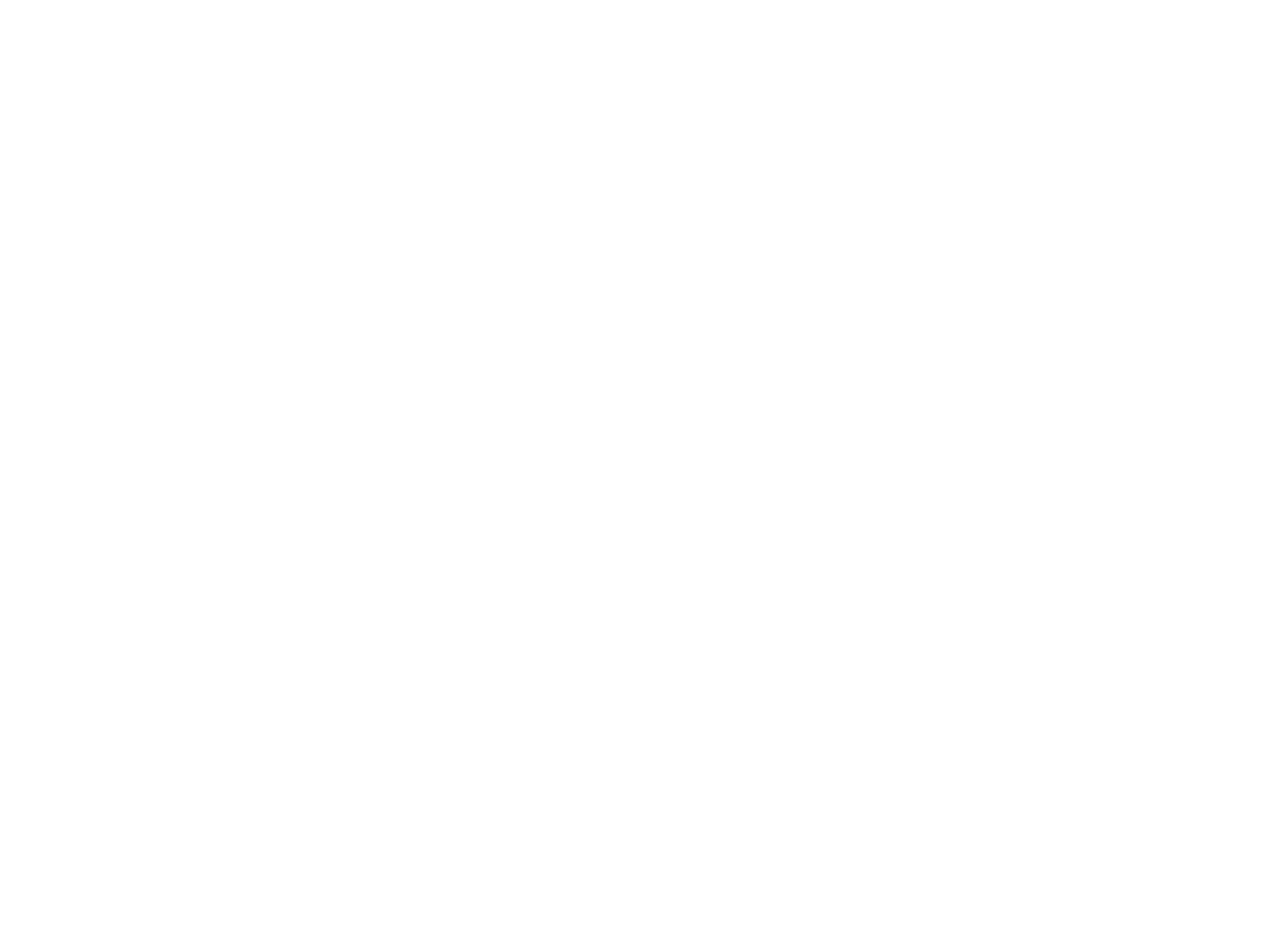 Nadales Roofing Logo all white